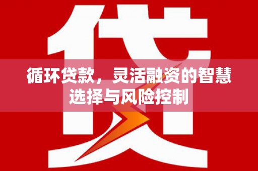 潜江循环贷款，灵活融资的智慧选择与风险控制