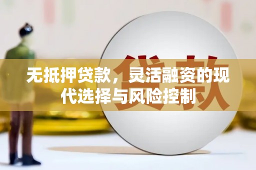 潜江无抵押贷款，灵活融资的现代选择与风险控制