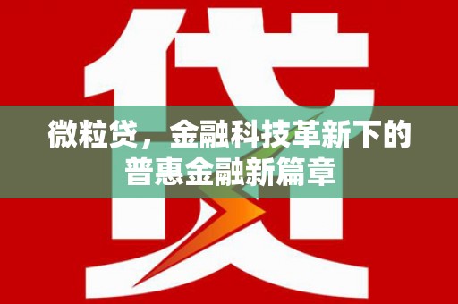 潜江微粒贷，金融科技革新下的普惠金融新篇章