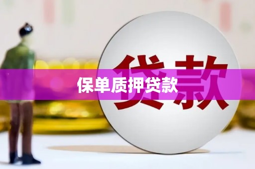 潜江保单质押贷款