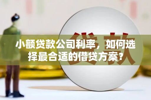 潜江小额贷款公司利率，如何选择最合适的借贷方案？