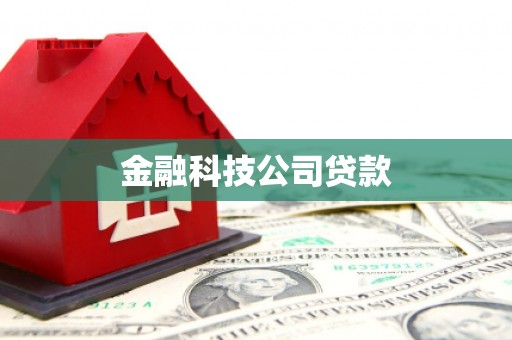 潜江金融科技公司贷款