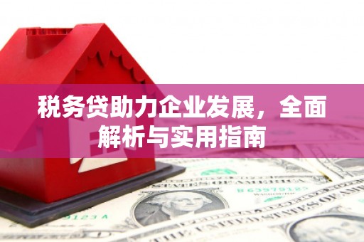 潜江税务贷助力企业发展，全面解析与实用指南