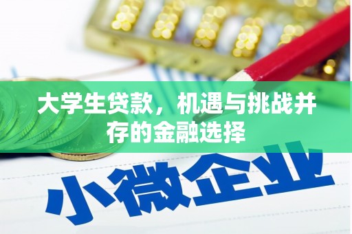 潜江大学生贷款，机遇与挑战并存的金融选择