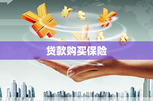 潜江贷款购买保险