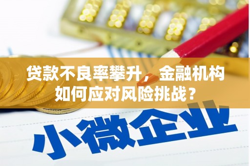 潜江贷款不良率攀升，金融机构如何应对风险挑战？
