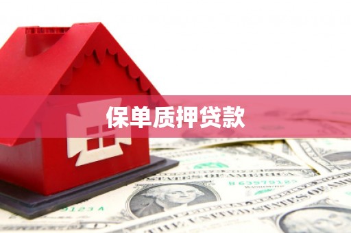 潜江保单质押贷款