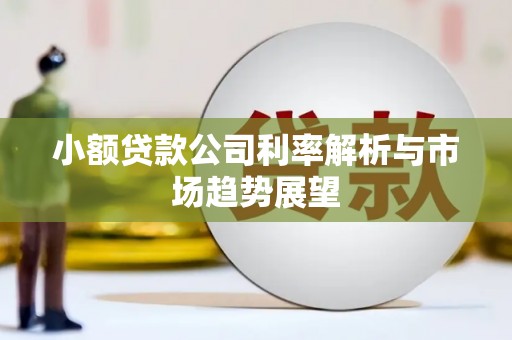 潜江小额贷款公司利率解析与市场趋势展望
