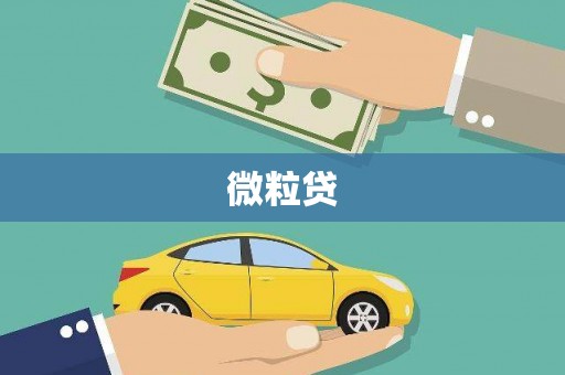潜江微粒贷