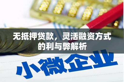 潜江无抵押贷款，灵活融资方式的利与弊解析
