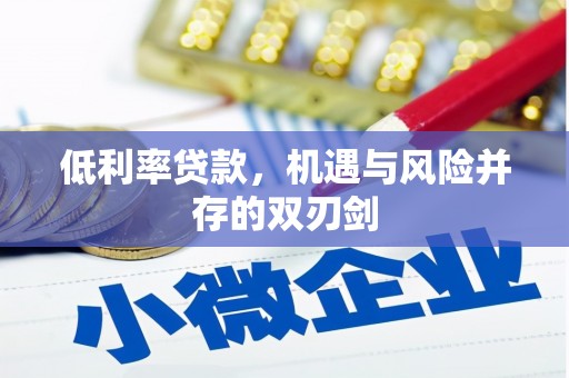 潜江低利率贷款，机遇与风险并存的双刃剑