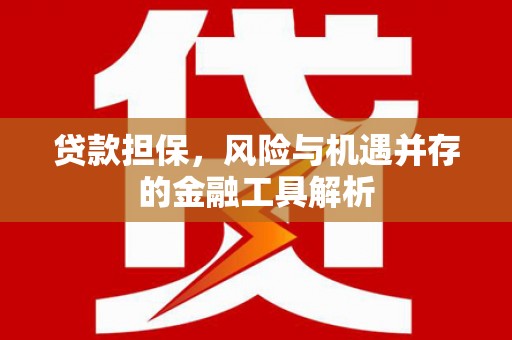 潜江贷款担保，风险与机遇并存的金融工具解析