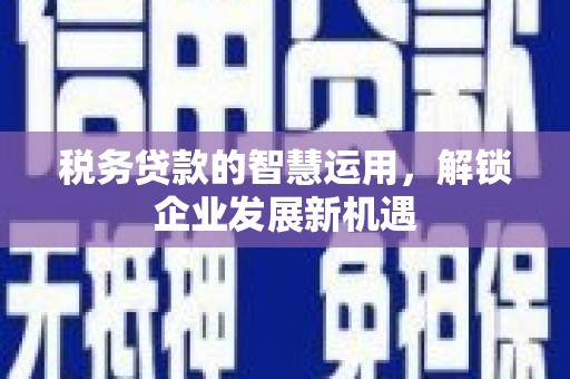 潜江税务贷款的智慧运用，解锁企业发展新机遇