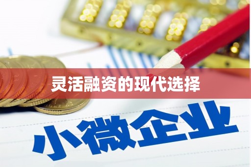 潜江灵活融资的现代选择
