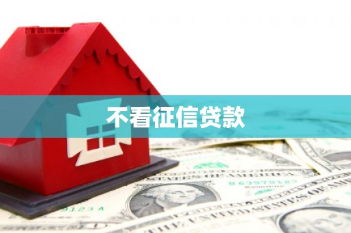 潜江不看征信贷款