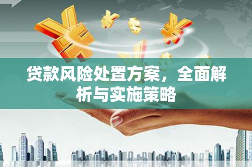 潜江贷款风险处置方案，全面解析与实施策略