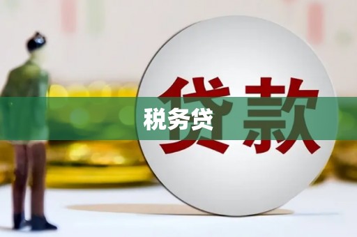 潜江税务贷