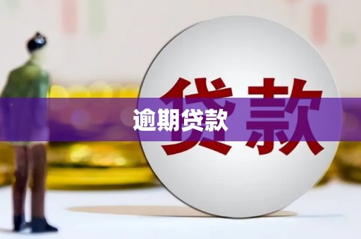 潜江逾期贷款