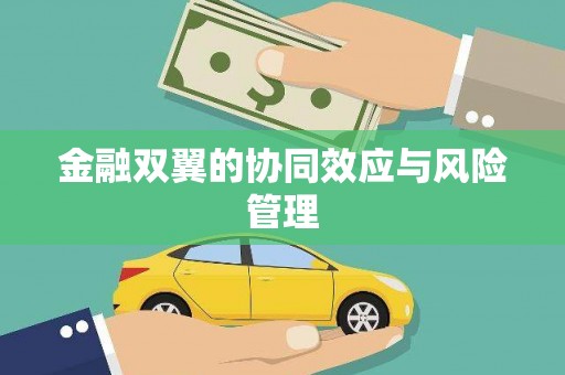 潜江金融双翼的协同效应与风险管理