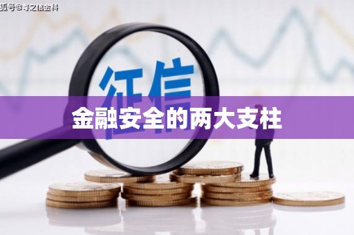 潜江金融安全的两大支柱