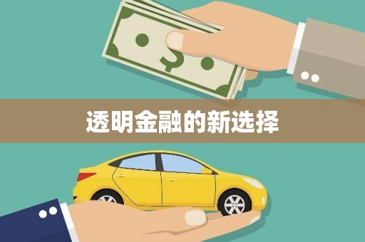 潜江透明金融的新选择