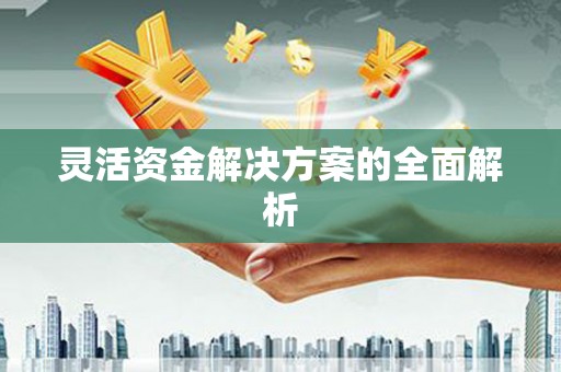 潜江灵活资金解决方案的全面解析