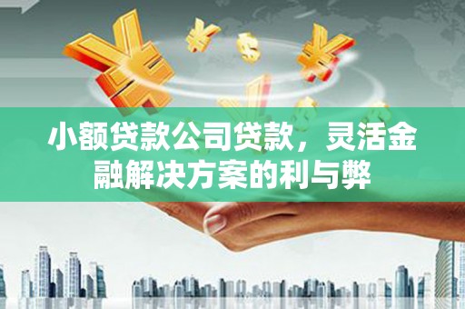 潜江小额贷款公司贷款，灵活金融解决方案的利与弊