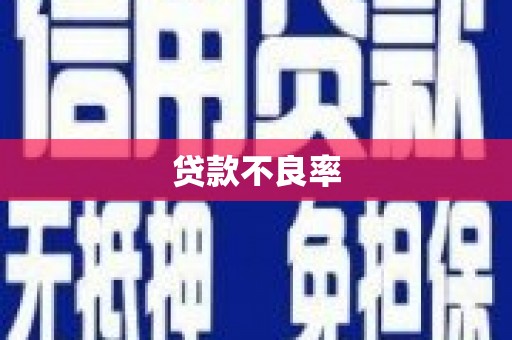 潜江贷款不良率