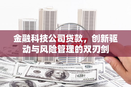 潜江金融科技公司贷款，创新驱动与风险管理的双刃剑